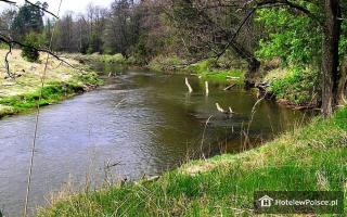 HOTEL DWOREK SARMATA Agroturystyka
