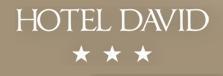 Hotel David 