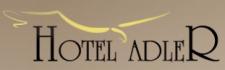 HOTEL ADLER BYCZYNA